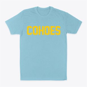 Cohoes New York Classic Block Classic Dad T-Shirt