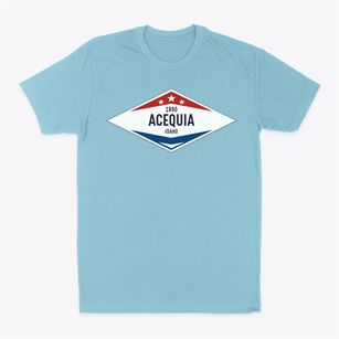 Acequia Idaho Diamond Star Classic Dad T-Shirt