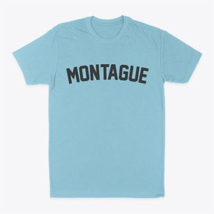 Montague Michigan Classic Curve Classic Dad T-Shirt