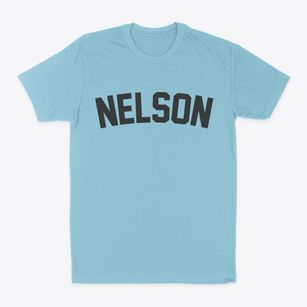 Nelson New Hampshire Classic Curve Classic Dad T-Shirt