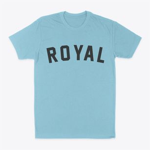 Royal Illinois Classic Curve Classic Dad T-Shirt