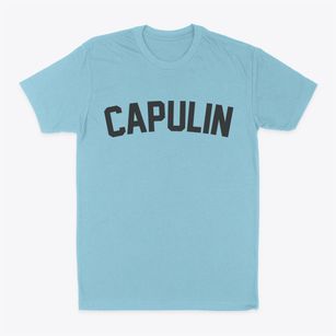 Capulin New Mexico Classic Curve Classic Dad T-Shirt