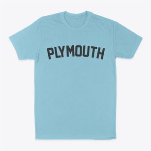 Plymouth Minnesota Classic Curve Classic Dad T-Shirt