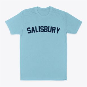 Salisbury North Carolina Classic Curve Classic Dad T-Shirt