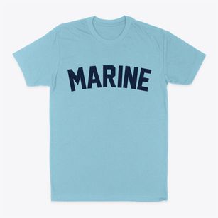 Marine Illinois Classic Curve Classic Dad T-Shirt