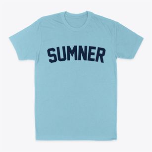 Sumner Missouri Classic Curve Classic Dad T-Shirt