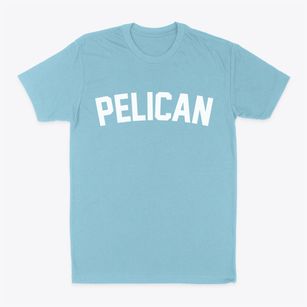 Pelican Wisconsin Classic Curve Classic Dad T-Shirt