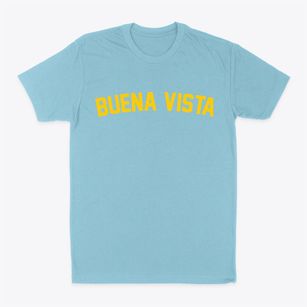 Buena Vista Virginia Classic Curve Classic Dad T-Shirt