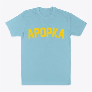 Apopka Florida Classic Curve Classic Dad T-Shirt