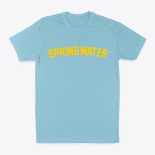 Springwater New York Classic Curve Classic Dad T-Shirt