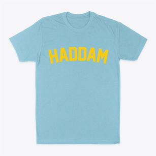 Haddam Connecticut Classic Curve Classic Dad T-Shirt