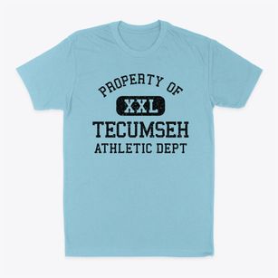 Tecumseh Michigan Athletic Dept Classic Dad T-Shirt
