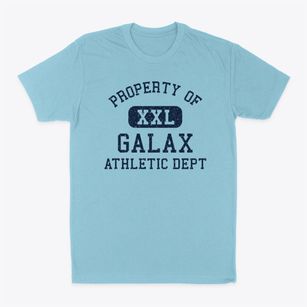 Galax Virginia Athletic Dept Classic Dad T-Shirt