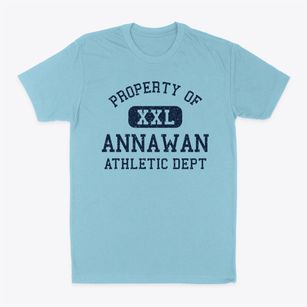 Annawan Illinois Athletic Dept Classic Dad T-Shirt