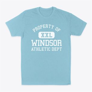 Windsor Wisconsin Athletic Dept Classic Dad T-Shirt