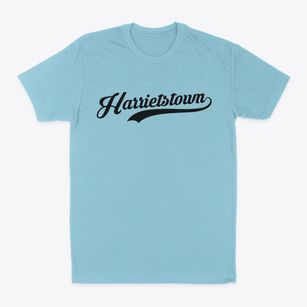Harrietstown New York Vintage Team Classic Dad T-Shirt