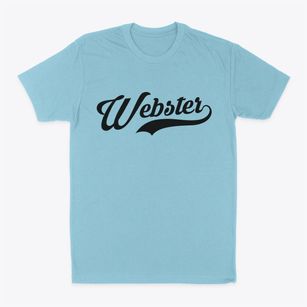 Webster South Dakota Vintage Team Classic Dad T-Shirt