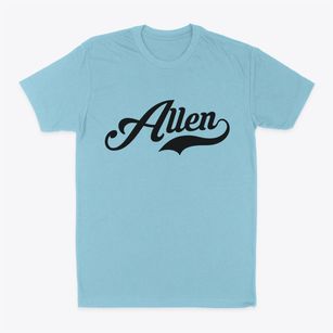 Allen New York Vintage Team Classic Dad T-Shirt