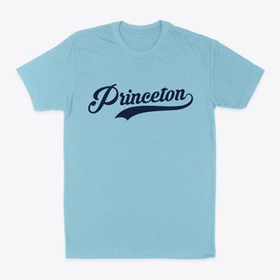 Princeton Illinois Vintage Team Classic Dad T-Shirt