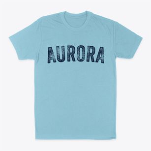 Aurora Illinois Timeless Retro Classic Dad T-Shirt