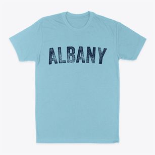 Albany Georgia Timeless Retro Classic Dad T-Shirt