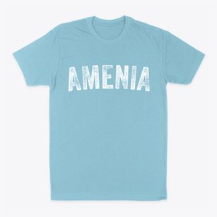 Amenia New York Timeless Retro Classic Dad T-Shirt