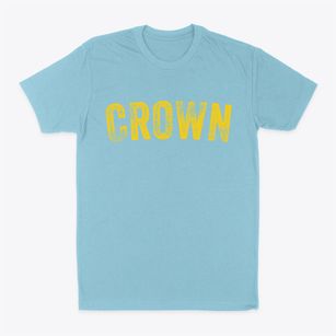 Crown Pennsylvania Timeless Retro Classic Dad T-Shirt