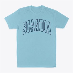 Scandia Kansas Trendy Block Classic Dad T-Shirt