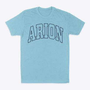Arion Iowa Trendy Block Classic Dad T-Shirt
