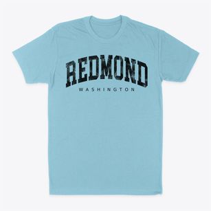 Redmond Washington Urban Vibe Classic Dad T-Shirt