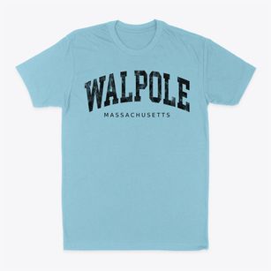 Walpole Massachusetts Urban Vibe Classic Dad T-Shirt