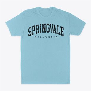 Springvale Wisconsin Urban Vibe Classic Dad T-Shirt