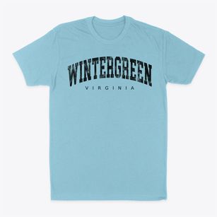 Wintergreen Virginia Urban Vibe Classic Dad T-Shirt