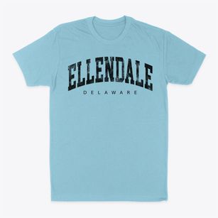 Ellendale Delaware Urban Vibe Classic Dad T-Shirt