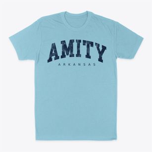 Amity Arkansas Urban Vibe Classic Dad T-Shirt