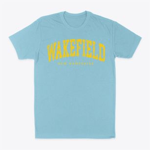 Wakefield New Hampshire Urban Vibe Classic Dad T-Shirt