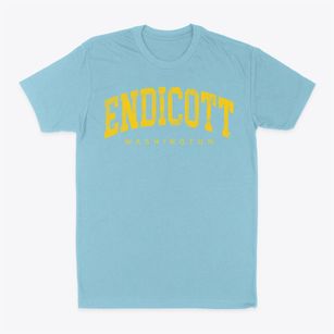 Endicott Washington Urban Vibe Classic Dad T-Shirt