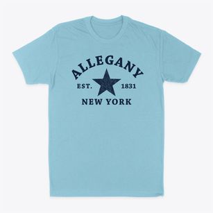 Allegany New York Star Classic Dad T-Shirt