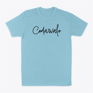Cedarvale New York Freestyle Classic Dad T-Shirt