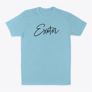 Exeter Illinois Freestyle Classic Dad T-Shirt