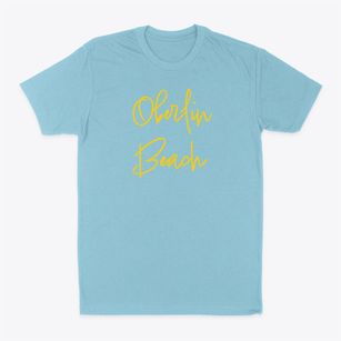 Oberlin Beach Ohio Freestyle Classic Dad T-Shirt