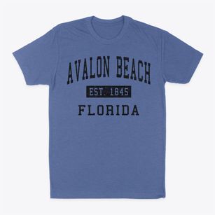 Avalon Beach Florida Classic Established Classic Dad T-Shirt