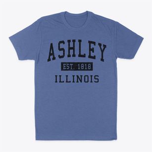 Ashley Illinois Classic Established Classic Dad T-Shirt