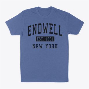 Endwell New York Classic Established Classic Dad T-Shirt