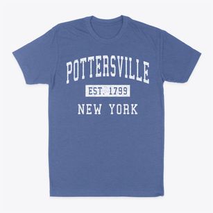Pottersville New York Classic Established Classic Dad T-Shirt