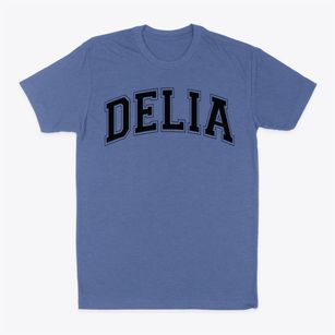Delia Elementay School Varsity Arch Classic Dad T-Shirt