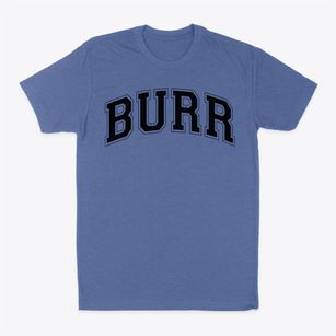Burr Intermediate School Varsity Arch Classic Dad T-Shirt