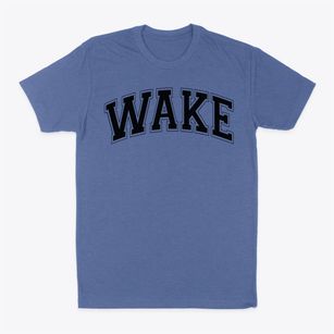 Wake Prep Academy Varsity Arch Classic Dad T-Shirt
