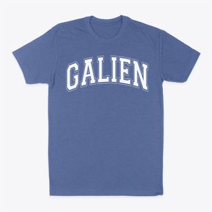 Galien School Varsity Arch Classic Dad T-Shirt