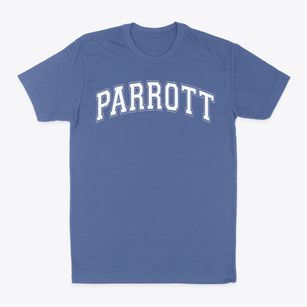 Arendell Parrott Academy Varsity Arch Classic Dad T-Shirt